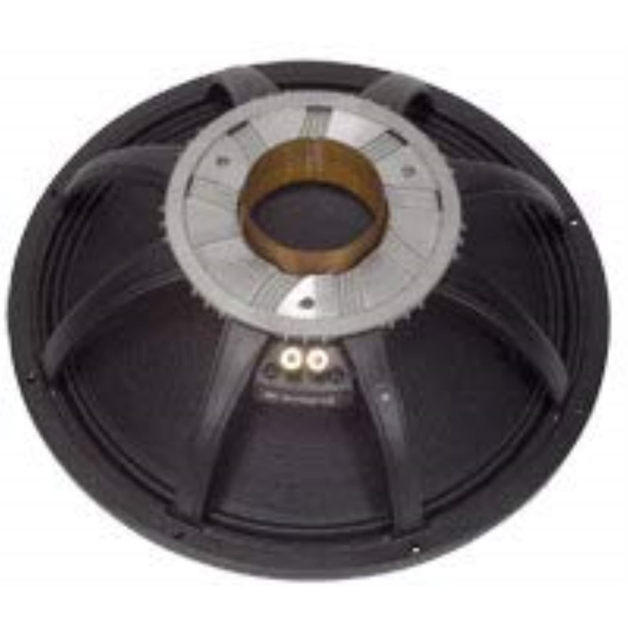 Amazon.com: Peavey 18 inch Low Rider RB 8 ohm, Black, 1X1X1